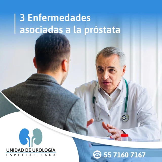 Existen 3 enfermedades que afectan directamente a la próstata:

• Prostatitis: Se trata de una infección de la próstata de origen bacteriano, esta produce escalofríos, fiebre, hematuria, dolor y dificultad de orinar.

• Hiperplasia benigna de próstata: A medida que los hombres envejecen pueden desarrollar un crecimiento de la próstata, esto puede generar problemas miccionales.

• Cáncer de próstata: El desarrollo de tumores en el tejido prostático puede no mostrar síntomas en sus etapas iniciales, siendo que de ser detectado de manera temprana existe una alta tasa de supervivencia gracias al tratamiento.

Consulta a nuestros especialistas

ＣＩＴＡＳ
Teléfono: 55 7160 7167
WhatsApp: 55 2469 9630
Urgencias 24 hrs: 55 1204 5618 
https://urologos.doctor/
.
.
.
.
.
#urología #urólogo #urólogocdmx #saludsexual #yomecuido #saludparatodos #saludmasculina #prevención #prevenir #datosmedicos #tipsmedicos #consejos #vph #ets #cancer #Cancerdeprostata