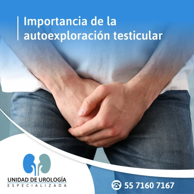 Importancia de la autoexploración testicular

Una manera sencilla de detectar problemas que puedan surgir en los testículos es mediante la autoexploración, ya que al realizar esta práctica es posible sentir al tacto bultos o protuberancias en la zona.
Se recomienda realizar esta práctica mínimo una vez al mes con el fin de familiarizarse con el tamaño y la forma de los testículos, y así poder detectar y prevenir problemas como el Cáncer Testicular.

Consulta a nuestros especialistas
ＣＩＴＡＳ
Teléfono: 55 7160 7167
WhatsApp: 55 2469 9630
Urgencias 24 hrs: 55 1204 5618
https://urologos.doctor/
.
.
.
.
.
#urología #urólogo #urólogocdmx #saludsexual #yomecuido #saludparatodos #saludmasculina #prevención #prevenir #datosmedicos #tipsmedicos #consejos #vph #ets #cancer #Cancerdeprostata